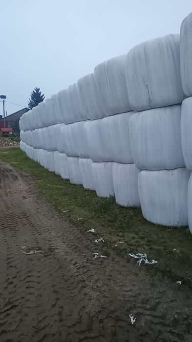 Sianokiszonka z traw sianych 2025!.