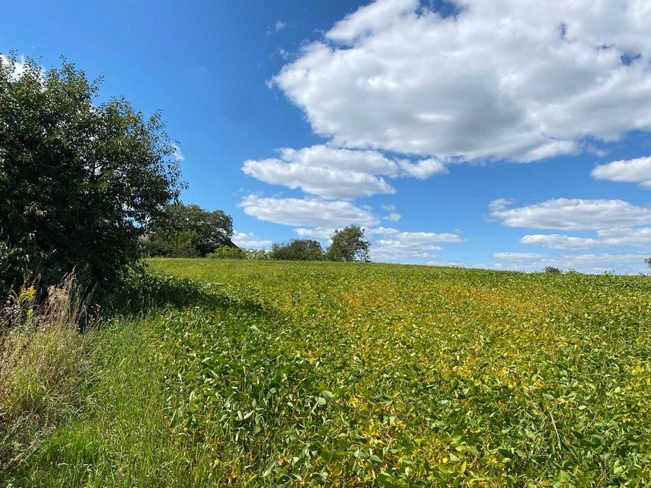Продам ділянку біля Рівного