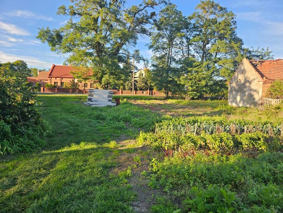 Działka budowlana 28,1 arów Pełczyn gm.Wołów