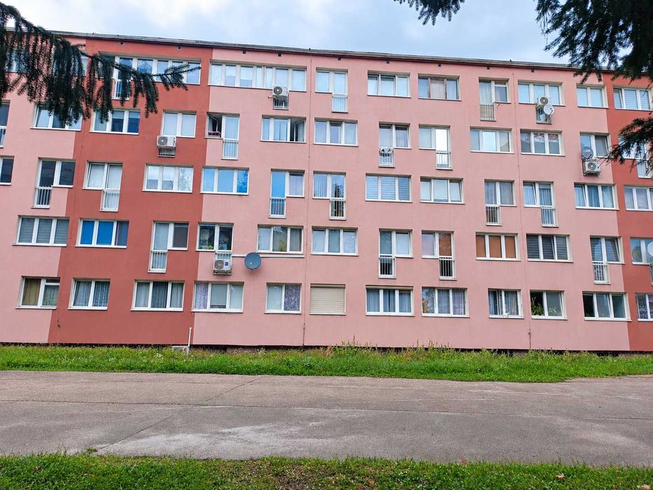 Zdjęcie 6