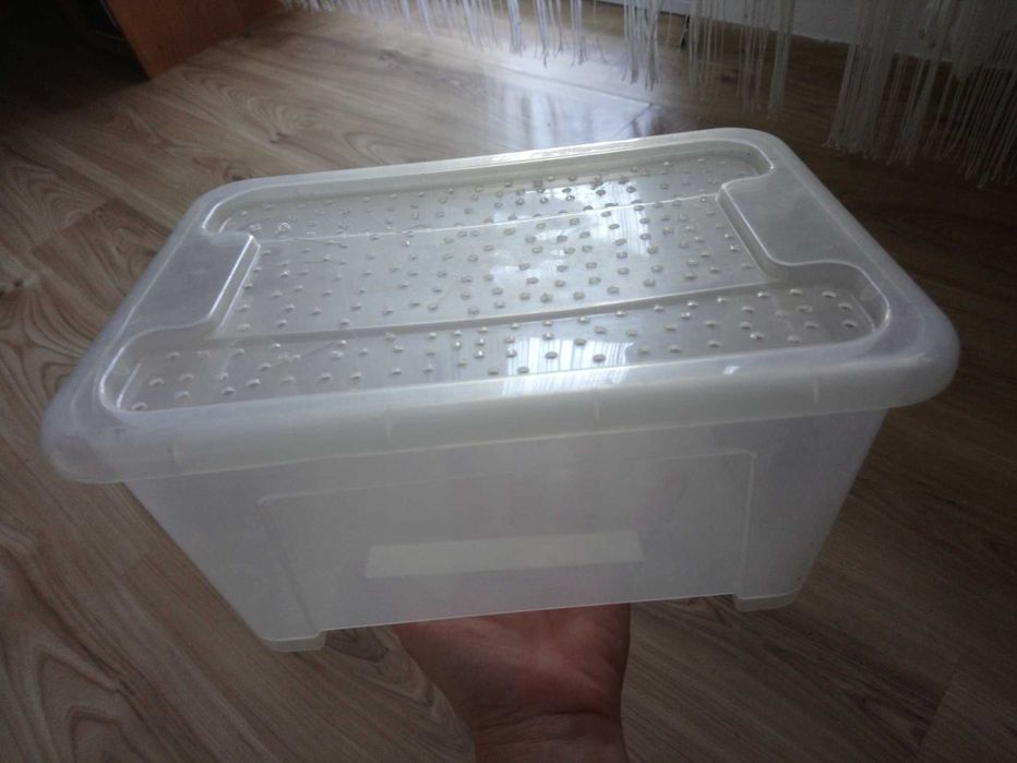 Pudełka ,boxy na pajęczaki