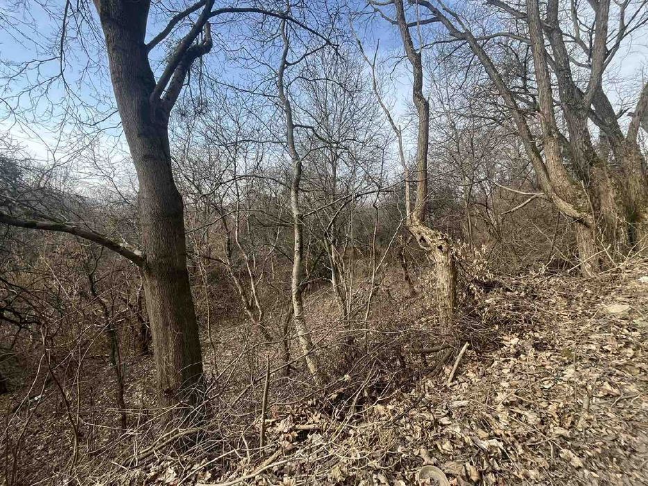 Продаж земельної ділянки в Урочищі Голоско, Львів, Шевченківський р-н