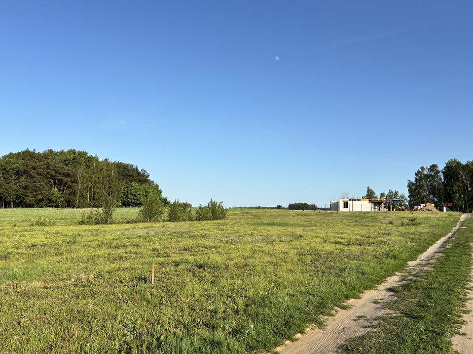 Działka budowlana k. Skierniewic Budy Trzcińskie - Widok 3