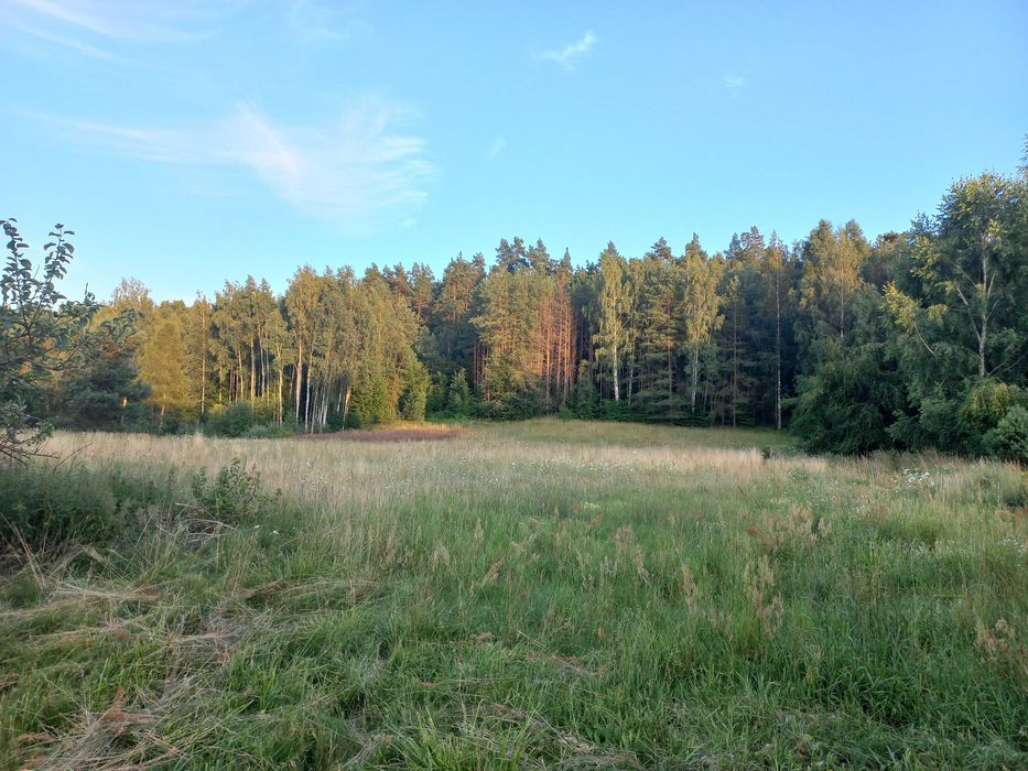 Sprzedam dom z dużą działką