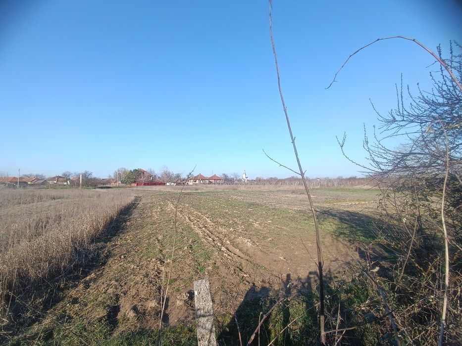 Велике БУДИНКОВОЛОДІННЯ у с. Балажер 7км до Берегова, ділянка 16 соток