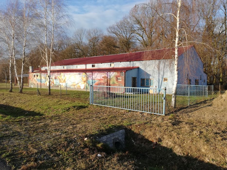 Hala - dyskoteka