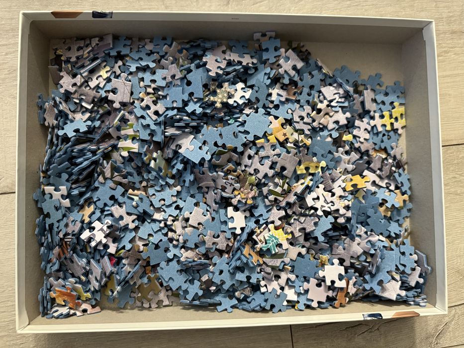 Puzzle Ravensburger 1000 elementów marzenia