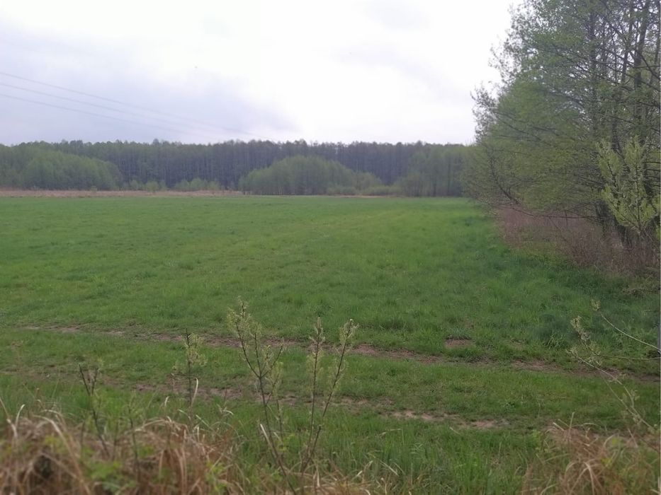 Zdjęcie 8