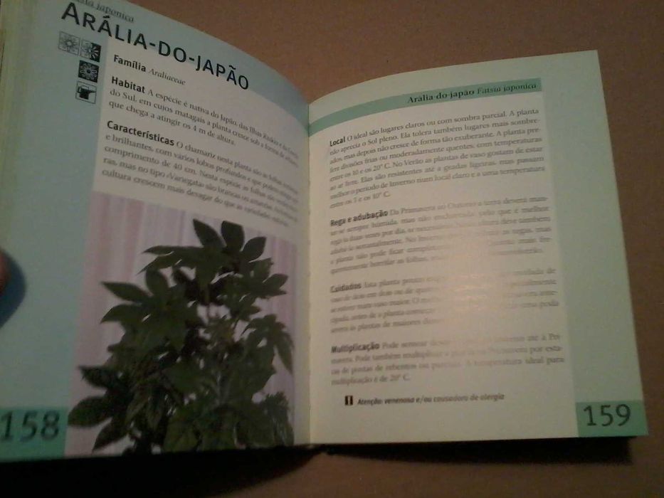 guia pratico plantas interior