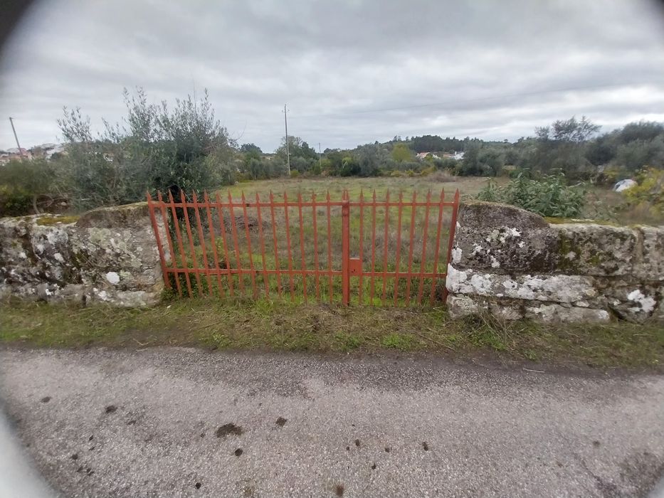 Terreno rústico perto serra da estrela