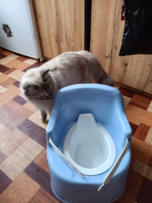 Продам детский горшочек