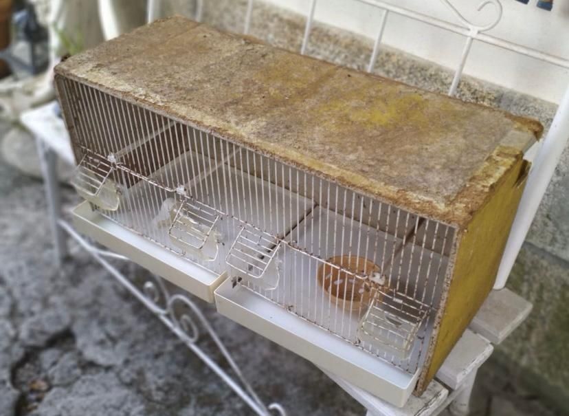 Gaiola para pássaro