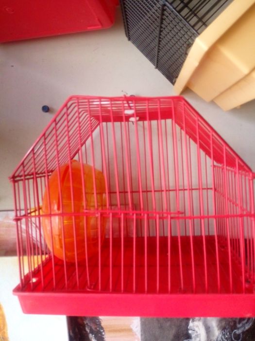 Бюджетні клітки для хом'яків