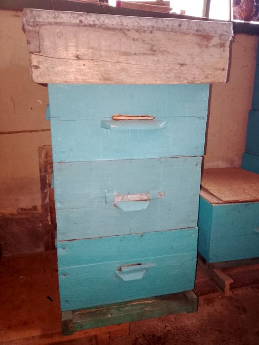 Вулики для бджіл