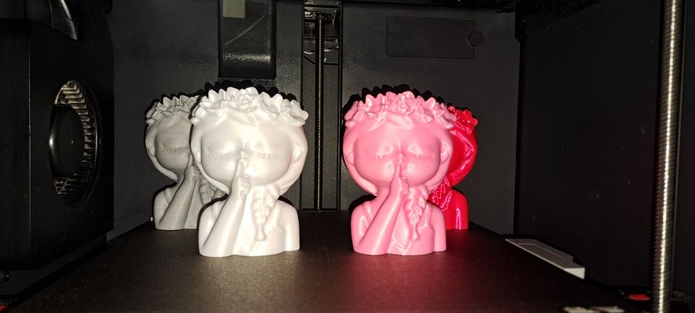 Impressão 3D – Vaso “A Menina do Silêncio” 8.6cm
Delicadeza e contrast