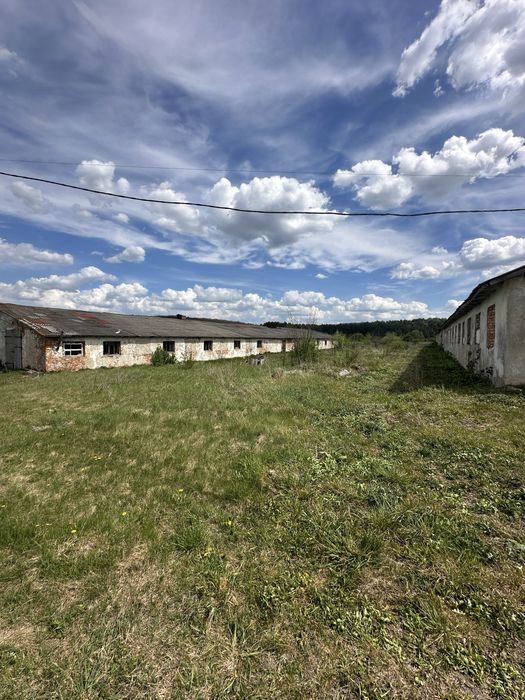 Продається Приміщення вільного призначення с. Залізці