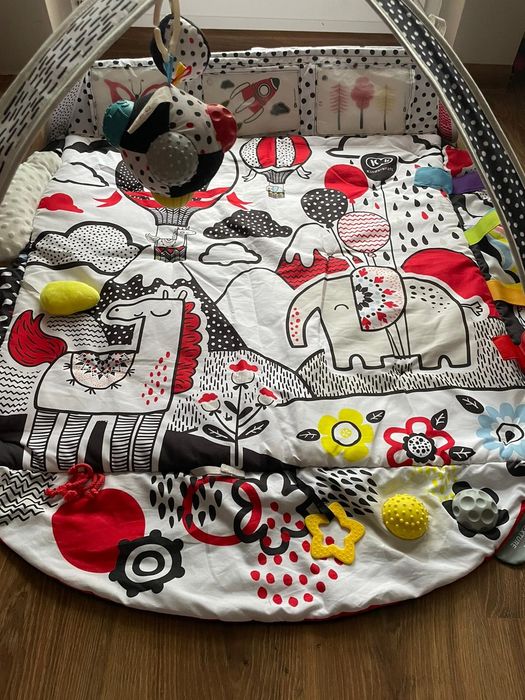 Mata edukacyjna Stan idealny