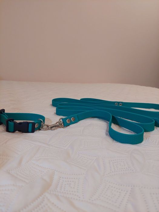 Ошийник з повідцем