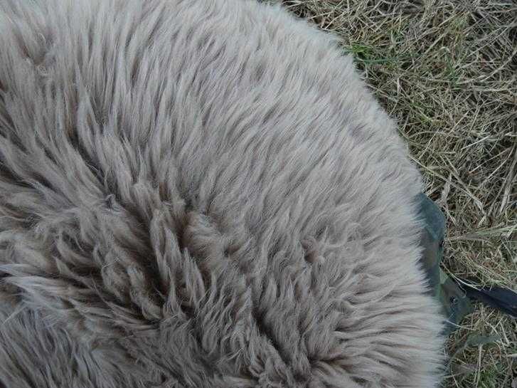 chodniczek OWCA skóra owcza FUTRO Z OWCY 90 cm NEW ZELAND