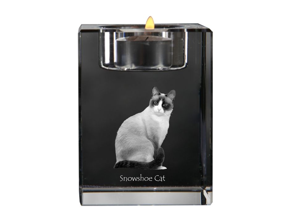 Snowshoe  świecznik kryształowy z kotem Art-Dog