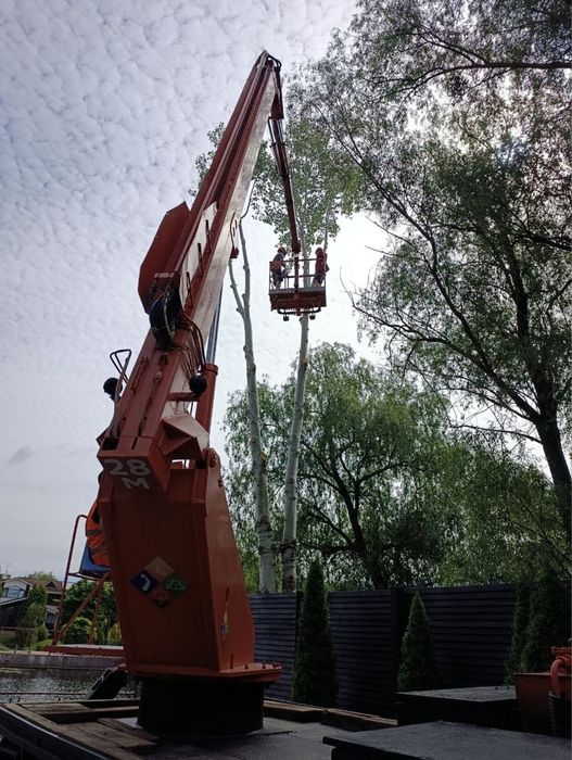 Зрізання дерев, Кронування, Спил частинами, Обрізка гілок, Утилізація
