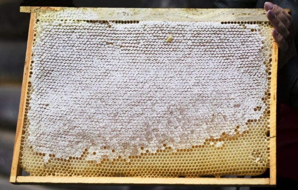 Продаю натуральний мед