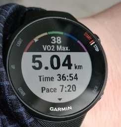 Garmin Forerunner 45