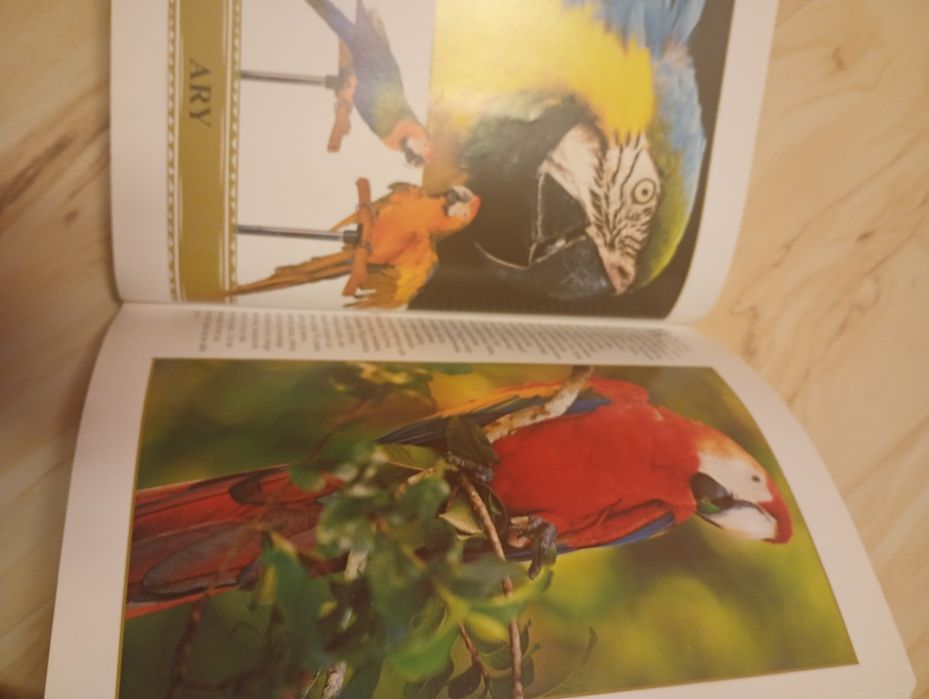 Encyklopedia zwierząt 650stron