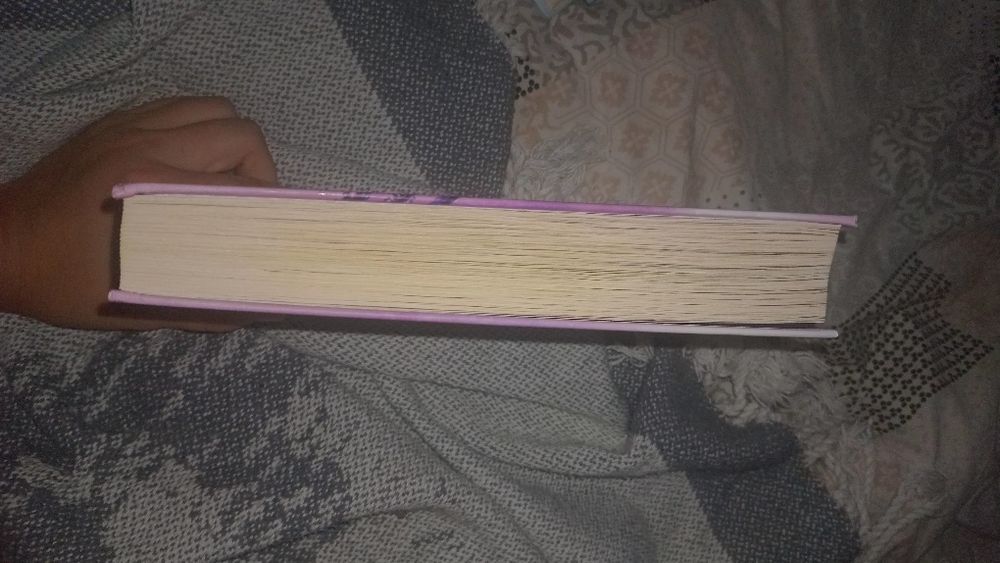 Книжка занепалений спадкоємець бу