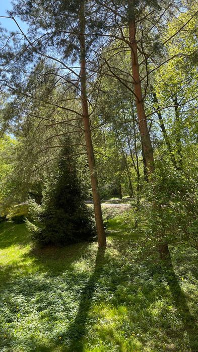Mieszkanie/kawalerka do wynajęcia
