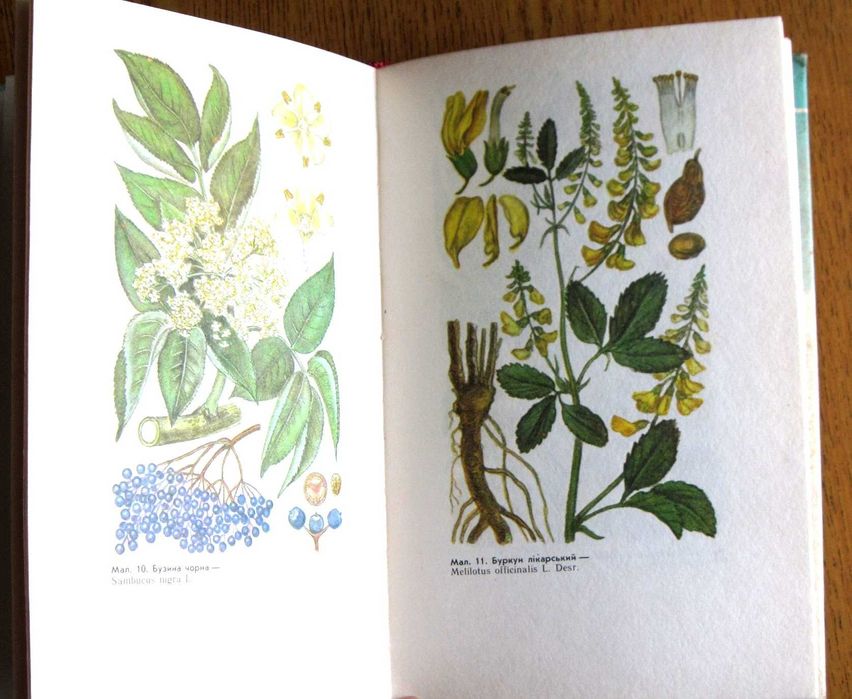 Жива аптека. В.В.Кархут