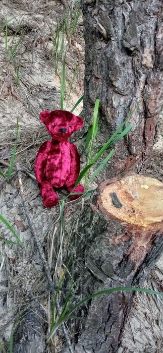 Ведмедик Тедді. Bear Teddy. Авторська, колекційна іграшка