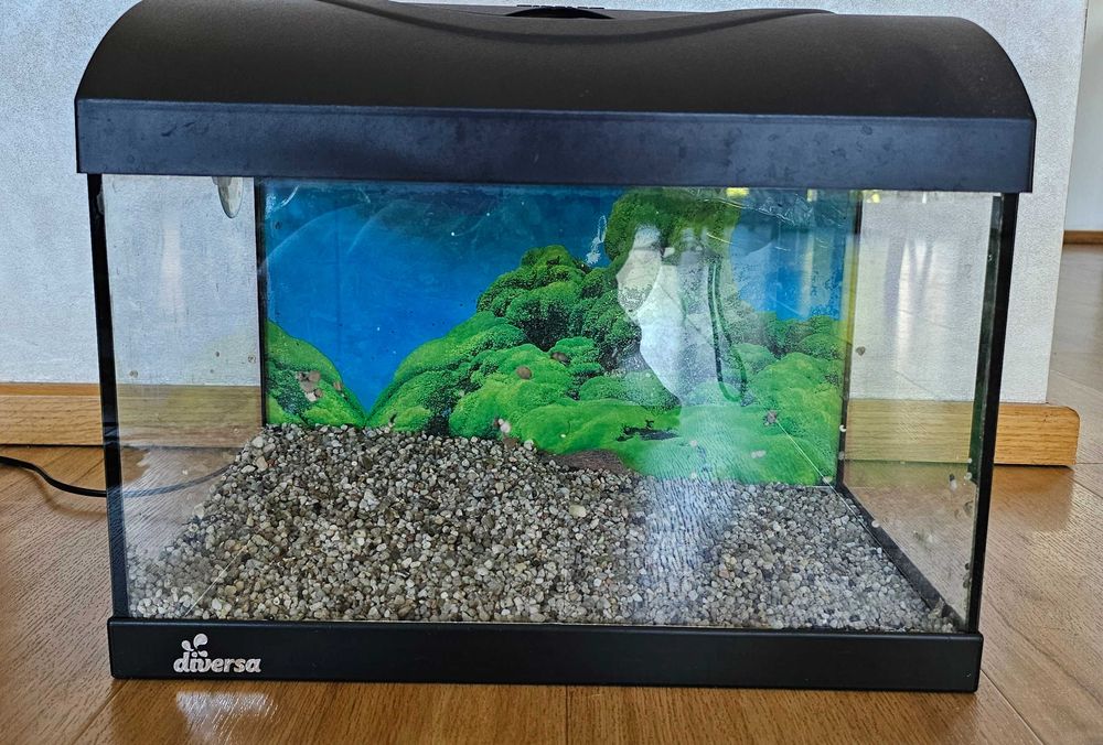 Akwarium 25 L Diversa
