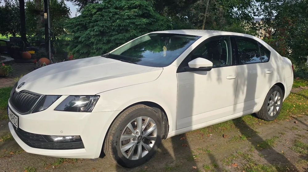 Skoda Octavia Drugi właściciel, samochód cały czas serwisowany, godny polecenia.