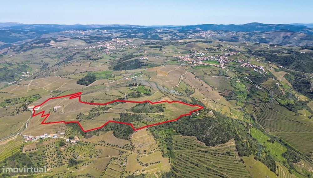 Quinta vínicola à venda no Peso da Régua no Douro Valley