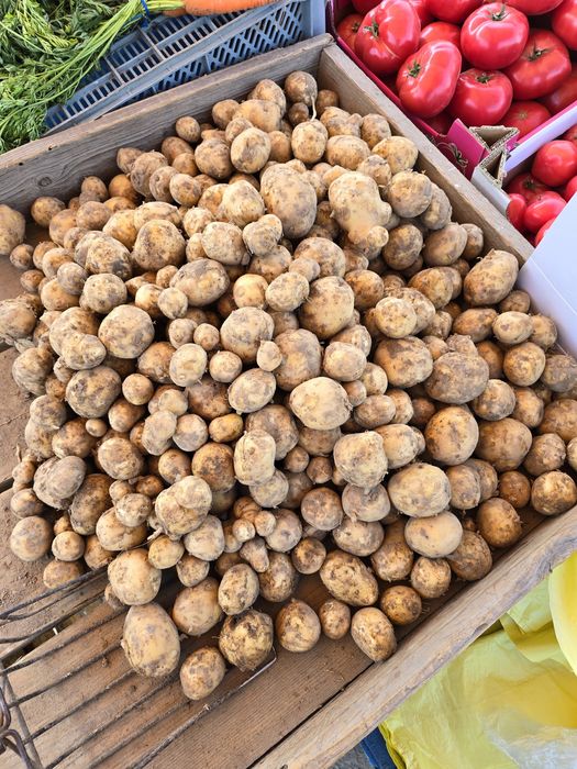 Sprzedam ziemniaki wielkość sadzeniaki