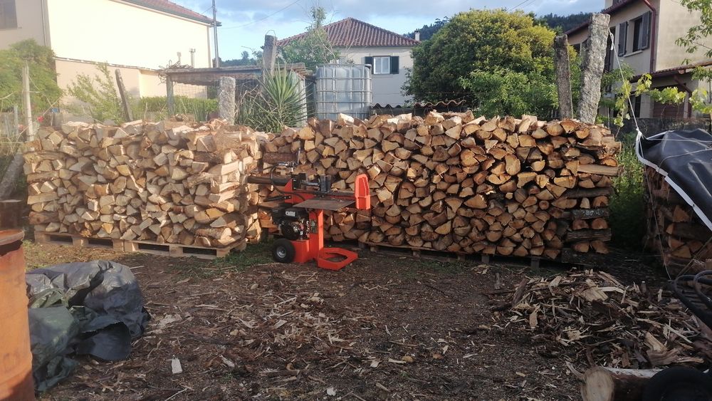 Lenha de eucalipto e carvalho
