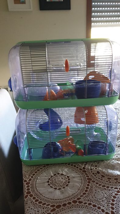 Habitat para pequenos roedores