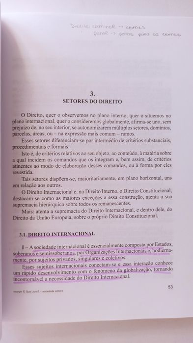 Introdução ao Direito: Interno e Internacional -  L. Barbosa Rodrigues