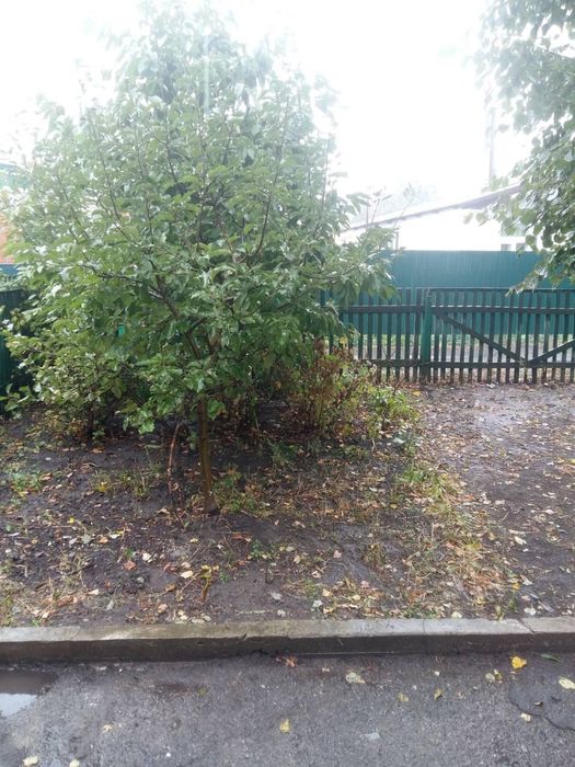 Продам будинок Гадяч