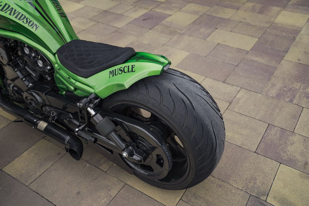 Harley-Davidson V-Rod  Full Custom