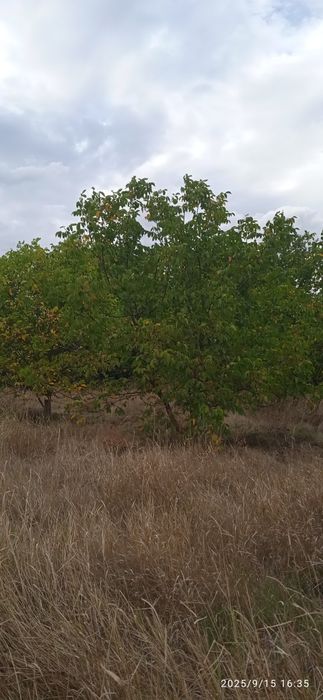 Будинок смтМаньківка Уманський,(0.5 га) загальна площа земельної ділян
