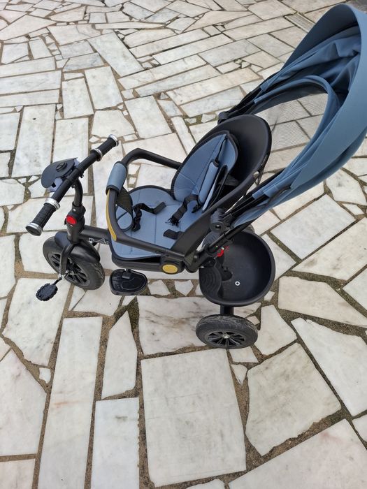 Triciclo evolutivo429484794415032322