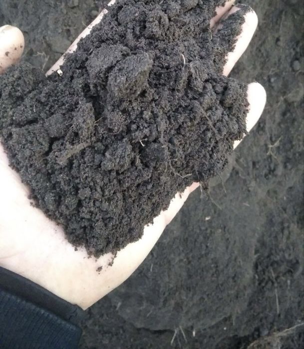Чернозем для газону та огороду