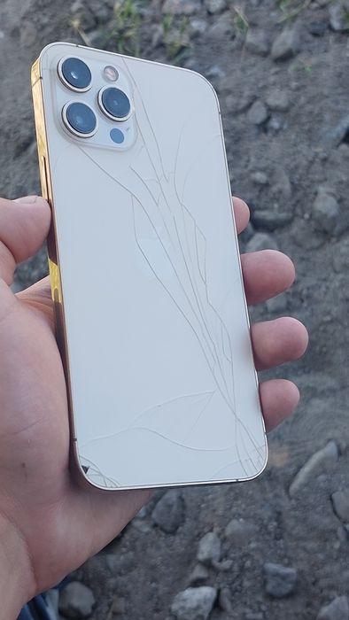 Iphone 12 pro max