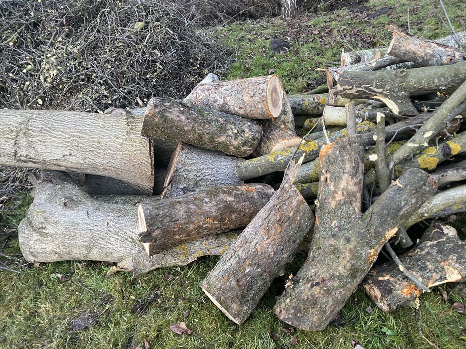 Дрова горіх дерево договірна