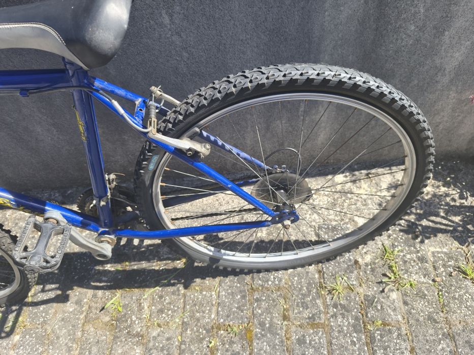 Bicicleta de Adulto