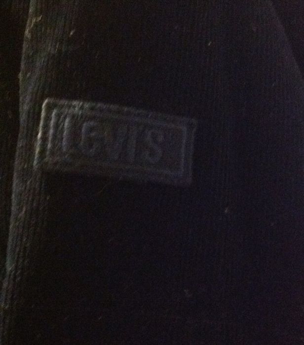 Kurtka i bezrękawnik firmy Levis'