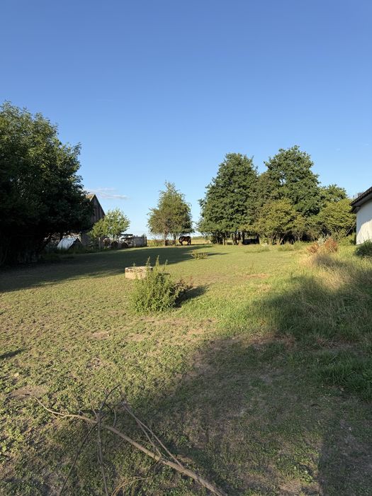 Dzialka na sprzedaz z istniejaca juz zabudową nr 134 Daniszewice - Widok 4