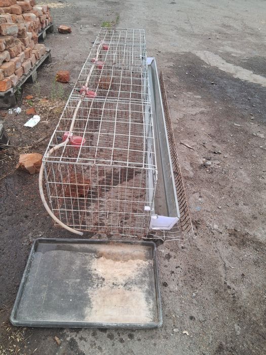 Продам клітки для курей та бройлерів